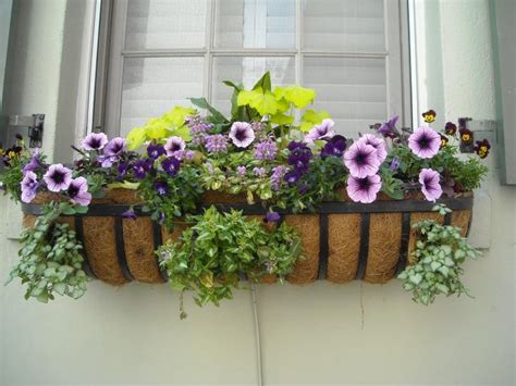 Flowers for Window Boxes: Sun- and Shade-Loving Plants | The Old Farmer ...