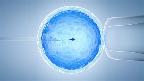 Ivf And Icsi Nakornthon Hospital