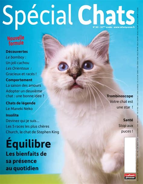 SPÉCIAL CHATS N60 Lafont presse