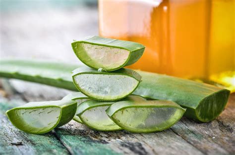 Aloe Vera Use In Spa For Skin Care Stock Image Image Of Herbal Vera