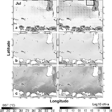 Jun Half Monthly Climatology Of Wind Speed Sst And Chl A Download Scientific Diagram