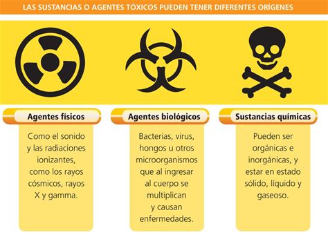 Cuadro Comparativo Para Identificar Cu Les Son Los Agentes Causantes