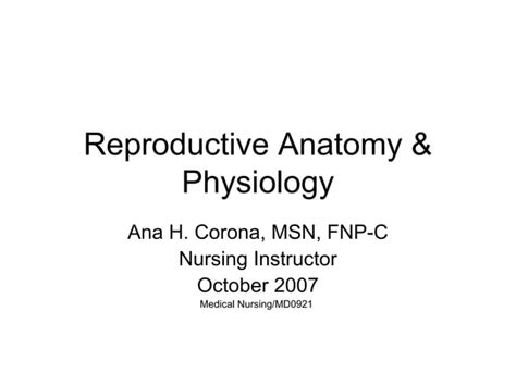 Reproductive Anatomy And Physiology Ppt