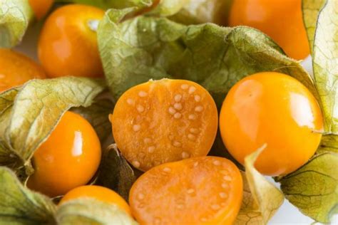 Physalis: Tips On Varieties, Harvest And Propagation Golden Gooseberry ...