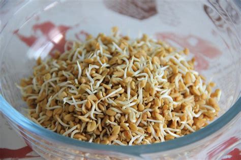 Fenugreek Tea The Benefits Of Fenugeek Seeds Soaked In Water