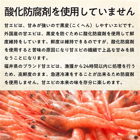 【楽天市場】【 最安値に挑戦 】 国産 福井県産 甘えび 500g 約50尾 子無し 日本海 甘エビ 甘海老 ホッコクアカエビ 船上凍結 高