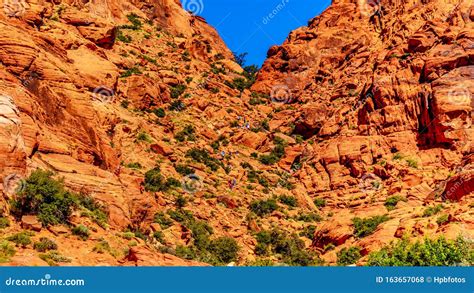 Calico Trail Into The Guardian Angel Area Of Red Rock Canyon National