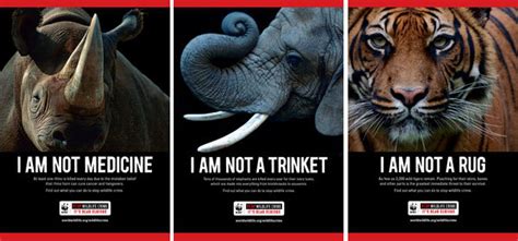 World Wildlife Fund Anti Poaching Campaign Avoids Violent Images The