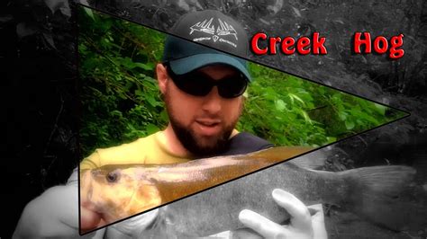 Smallmouth Bass Fishing Ohio Creek Fishing Youtube