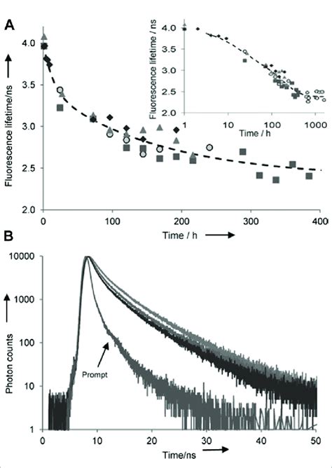 A Fluorescence Lifetime Of Blood Samples In Pbs Buffer As