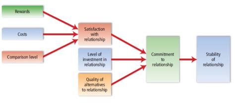 Social Psychology CH 10 Attraction And Relationships Flashcards Quizlet