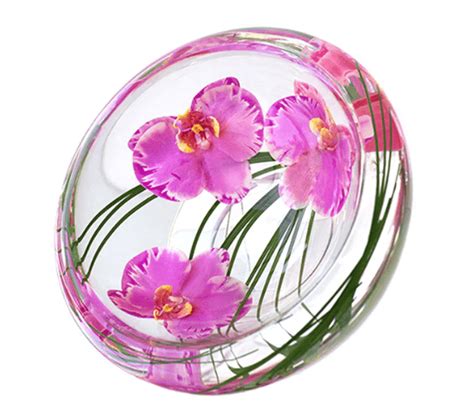 Emilio Robba Radiant Phalaenopsis Flower Bowl The Pink Daisy