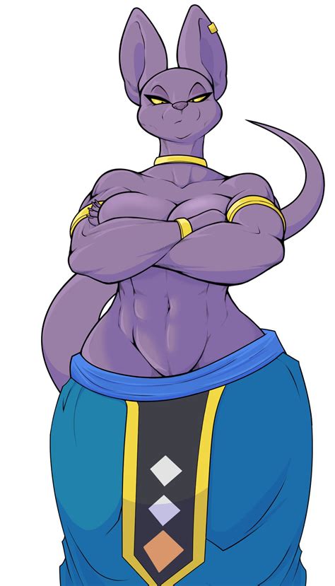 Rule 34 Abs Anthro Beerus Big Breasts Breasts Clothing Danonymous Domestic Cat Dragon Ball