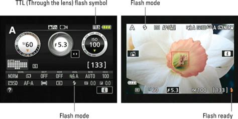 How To Set The Flash Mode On Your Nikon D5500 Dummies