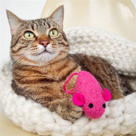 Catnip Toy. Catnip Mouse. Pink Cat Toy. Valentine Cat Toy. - Etsy