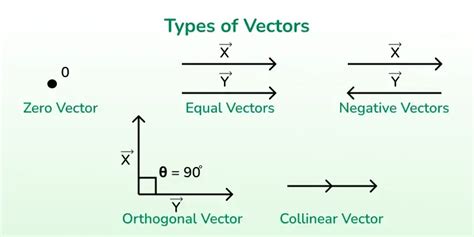 Types Of Vectors Geeksforgeeks