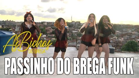 Passinho Do Brega Funk As Bichas Do Brega Par Dia Grelinho De