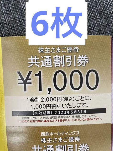 西武 株主優待 共通割引券 30枚 分 ③ プリンスホテル 祭の湯