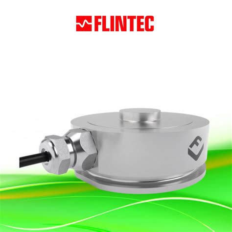 Flintec Load Cell Weighing Indicators Weighing Controllers Load Cell Transmitter Dpstar Group