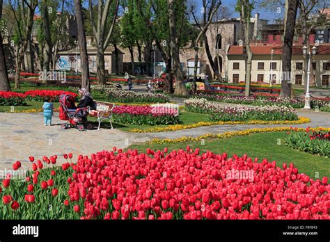 Tulip Festival Gulhane Park Istanbul Turkey Europe Stock Photo Alamy