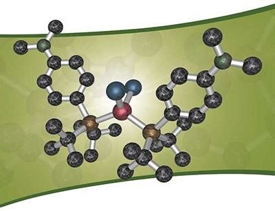 Transition Metal Catalysts