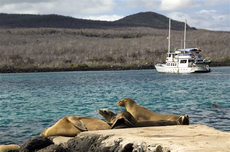 Set Sail For Adventure — Cruising The Galápagos Islands