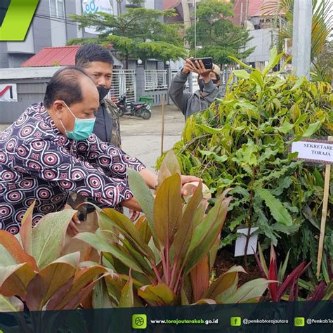 Pemkab Toraja Utara Bersama Kph Saddang Ii Peringati Hari Menanam Pohon