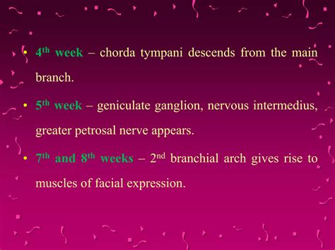 Facial Nerve Ppt