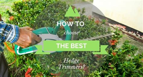 How To Choose The Best Hedge Trimmers My Greenery Life