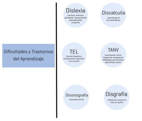 Los Trastornos Y Las Dificultades De Aprendizaje Más Comunes