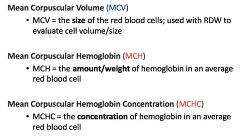 Mchc Blood Test What Is It And How To Interpret Results Off