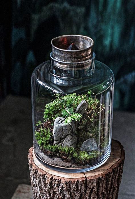 Awesome Bonsai Terrarium On The Jars 75 Terrarium Garden Terrarium