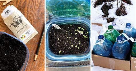 Winter Sowing Lets You Get A Jump Start On Spring. Here’s How - Chatelaine