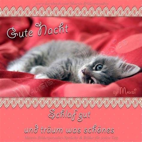 Guten morgen sms für meinen schatz Bilder und Sprüche