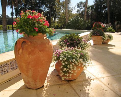 Pool Planters Pool Planters Landscaping Around Pool Tropical Landscaping