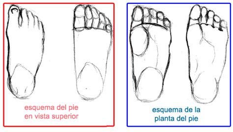 Tutorial Como Dibujar Pies