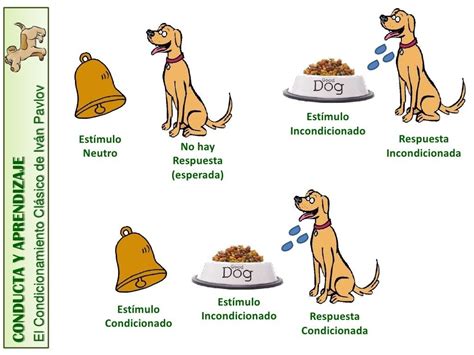 Condicionamiento Cl Sico Mapa Mental