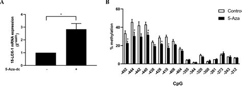 Effect Of 5 Aza Dc Treatment On 15 Lox 1 Mrna Expression And Cpg Download Scientific Diagram