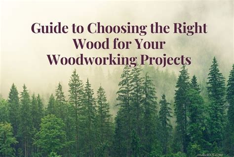 From Tree To Table A Guide To Choosing The Right Wood For Your