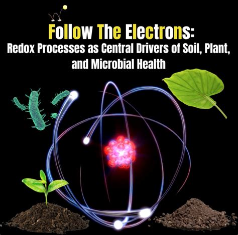 10 Top Pharmaceutical Drugs Derived from Plants- - EthnoPharm