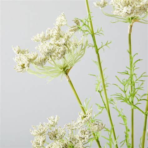 Faux Queen Annes Lace Plant Stem