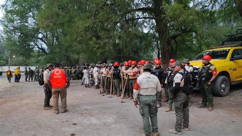 El Heraldo De Poza Rica Incendios Forestales Consumen M S De Mil