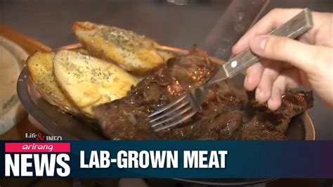 Worlds First Laboratory Grown Steak May Reach Market By 2021 Youtube