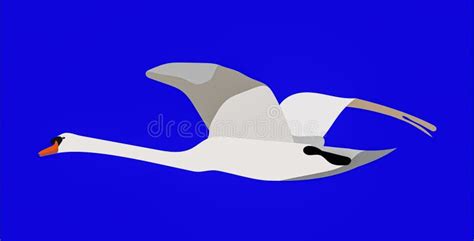 Swan In Flight Graphic Stock Illustration Illustration Of Bird 181079102