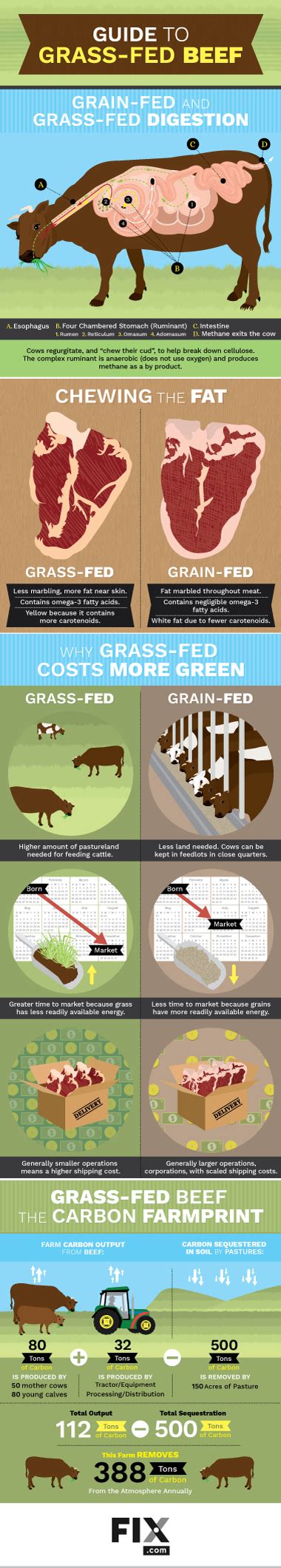 A Guide To Grass Fed Beef