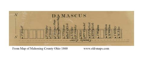 Damascus Mahoning Co Ohio 1860 Old Town Map Custom Print Mahoning