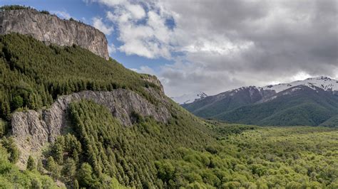 La Celulosa El Pilar Verde Para Un Futuro Natural CMPC