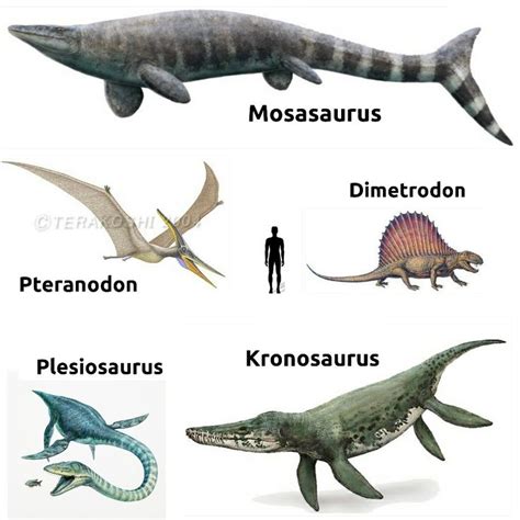 Prehistoric Reptiles 2 Dinossauros Aquaticos Animais Pré Históricos Animais Extintos