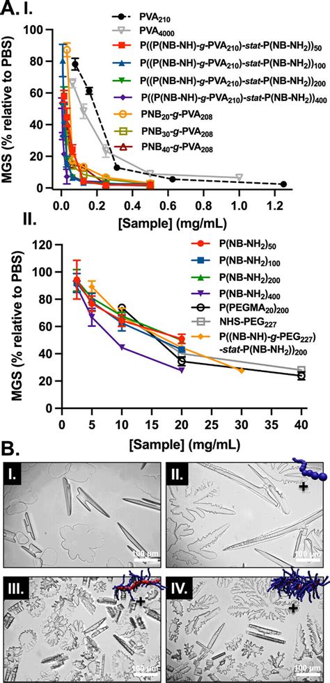 Assessment Of Ice Recrystallization Inhibition Activity And