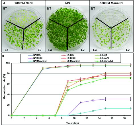 Effect Of Salt Nacl Mm And Osmotic Mannitol Mm Stresses On